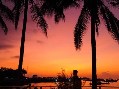 ガラパゴス旅その10 バイバイ!ガラパゴス! そして、もぐもぐレポ!