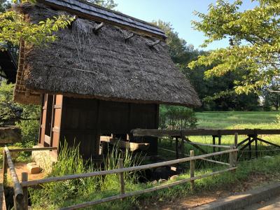 2日目はブルーベリー狩りやぎふ清流里山公園へ