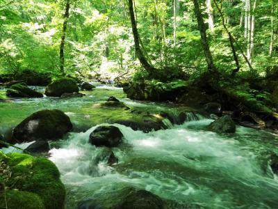 どこかにマイルで青森旅行☆（2019年8月・奥入瀬編）