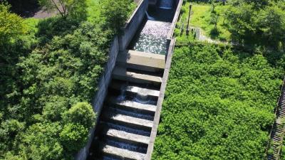 大ヶ洞ダム（おおがほらだむ）階段状の放流路,岐阜県【空撮】ドローン、ダムカード