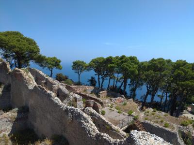 第4日目(8月9日)ナポリからカプリ島観光(青の洞窟、ヴィラ・ジョヴィス(皇帝ティベリウスの別邸))