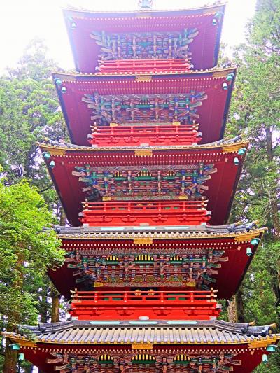 限定本　日光東照宮の文様 日光東照宮の装飾文様 植物・鳥類 | Graphic-Sha Publishing