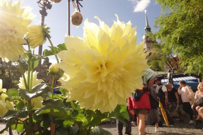 5日間でドイツ・スイスをかじる2019夏旅②～土曜日のミュンヘン散策～