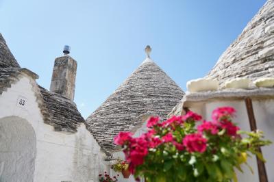 イタリア旅行　2019年8月 ⑧ Alberobello、Roma