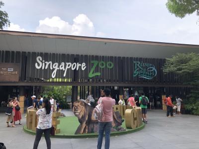マー様に会いに!シンガポールの旅2019その2~シンガポール動物園~