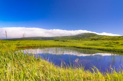 庄内には  ほんとうの空があった　 ～ 今夏も山形へ ～