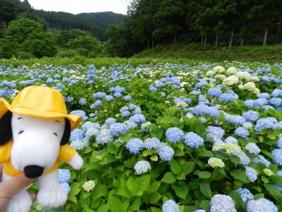 一関に関する旅行記 ブログ フォートラベル 岩手県