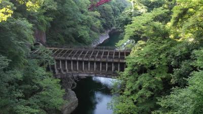 猿橋の峡谷、こじんまりとしているけどドローンには難所、空撮してみた