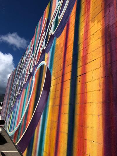 2019Hawaii⑤ めっちゃ歩いた1日⭐️カカアコ ウォールアート