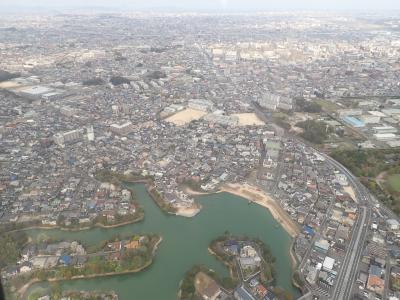 福岡で桜満開のお花見旅