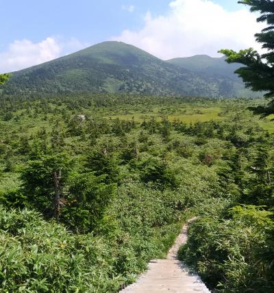 お盆後半は青森で③ 酸ヶ湯温泉・八甲田山 ～キャンプしてトレッキングして明日は仕事だ の巻～