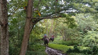 2泊4日子連れバンコク旅行！ 3,4日目帰国 水上マーケット 像乗り アジアンティーク