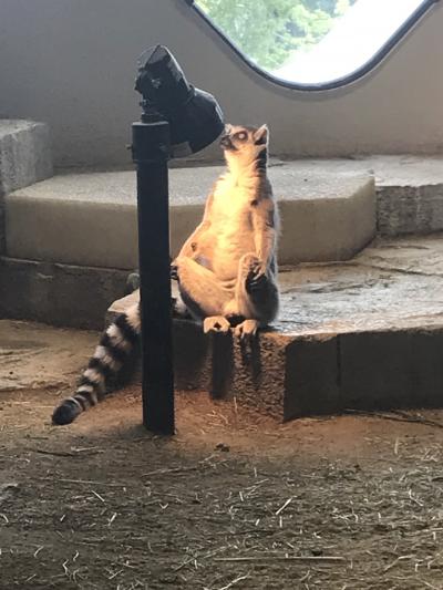 日帰りニフレルと太陽の塔