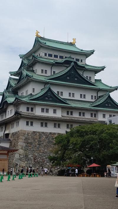 そうだ！お城を見に行こう！名古屋城、犬山城