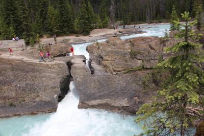 ヨーホー国立公園周辺に関する旅行記 ブログ フォートラベル カナダ Yoho National Park ヨーホー国立公園周辺に関する旅行記 ブログ フォートラベル カナダ Yoho National Park