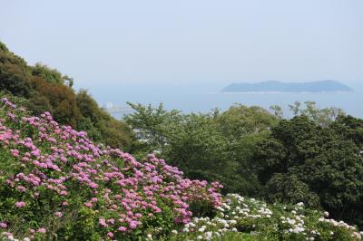 形原温泉あじさい祭り