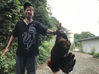 【2019.7】ANA&JALで行く!2泊3日の天草大自然満喫&ちょっと立ち寄り福岡!