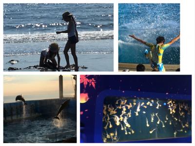 夏の終わりに~2019 夜の新江ノ島水族館