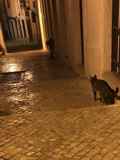 はじめての海外ひとり旅～ポルトガル～リスボン１