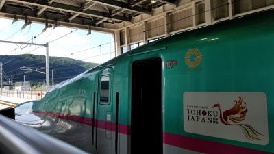 北海道新幹線グランクラスで行く子連れ函館３日間