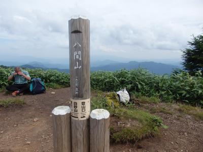 八間山登山　野花を求め