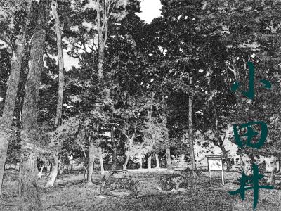 旅は naka naka、中仙道♪　　　二十二、小田井 ～ 岩村田