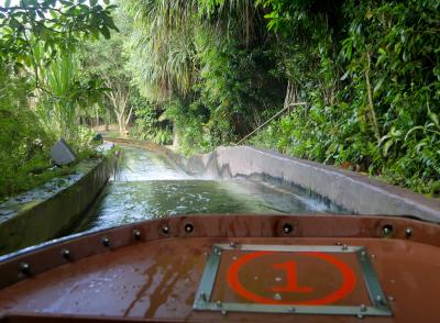2019.6シンガポール一人旅10-リバーサファリ2　Amazon River Quest，Wild Amazonia