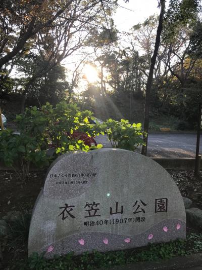 秋 紅葉を楽しむために　1日目 横須賀さわやか散歩13km