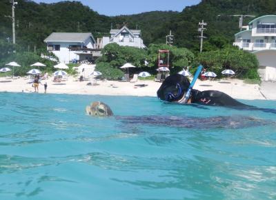 レンタカーなしの沖縄！渡嘉敷島で海ガメ、久高島でパワーの離島女子親子旅（２日目/4泊）