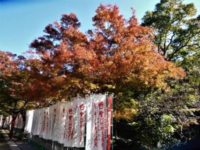 ２０１８年１１月　山口県・長門市　大寧寺　ちょっと紅葉をした境内散歩