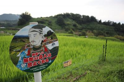 千早赤阪村で棚田を見る旅