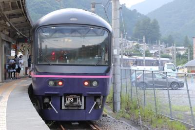 お座敷青梅奥多摩号の旅 ~485系華に乗車!~