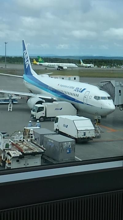夏旅2019 北海道旅行　その4　最終日。新千歳空港で、色々な飛行機を眺めて･･･