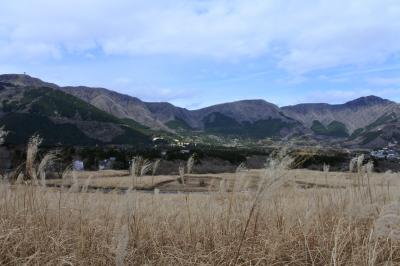 年末にちょっとぷらっと温泉家族旅行 箱根(2日目)