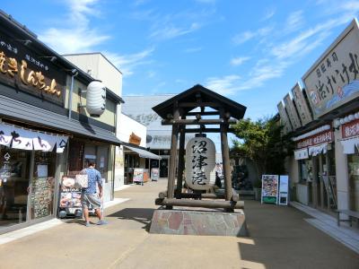 青春18きっぷで、下部温泉と沼津港一人旅　(2日目）沼津港深海水族館、熱海大湯