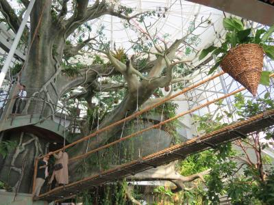 ドバイ時間 : 砂漠に招かれたジャングルを訪ねて