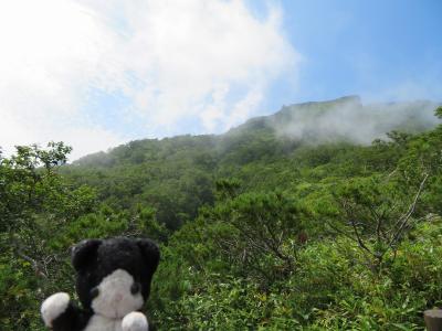 夏の層雲峡と美瑛と旭山動物園
