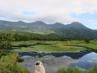 道東の大自然を巡る旅　with ゴエモン　part2　ゴエモン知床旅情