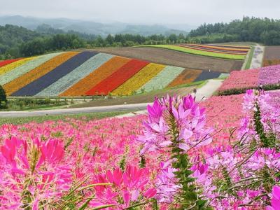 遥かなる北の空と大地　in北海道　前編