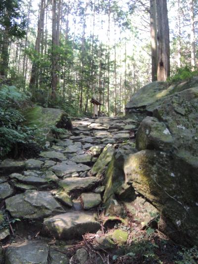 憧れの熊野古道