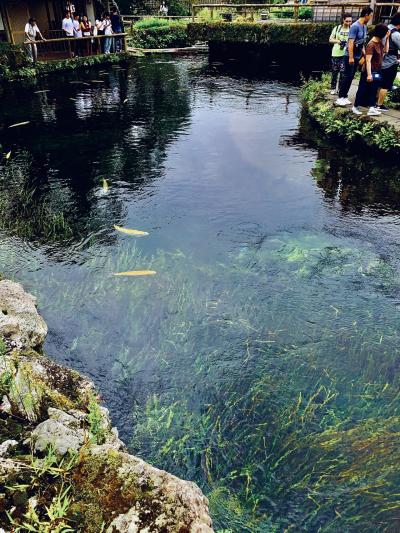 夏の山梨旅行(後編)