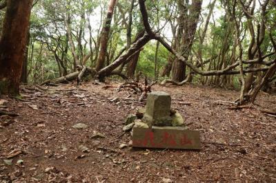 丹波富士・牛松山