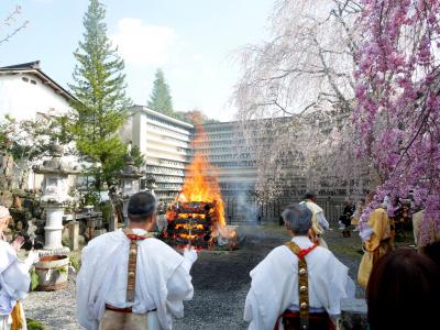 2019.4奈良出張，吉野，桜を満喫，そして名古屋へ5- 櫻本坊大護摩法要・火渡りを途中まで見る