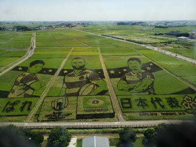 話題の田んぼアート見て来ました