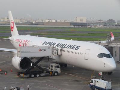 残暑の九州（２）就航したばかりのＪＡＬエアバスＡ３５０ファーストクラスで福岡へ