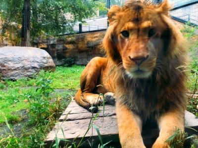 北海道旅行5日目 旭山動物園へ