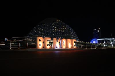 冬の神戸 1泊2日 神戸餃子とラッコを求めて② ホテル~夜の神戸