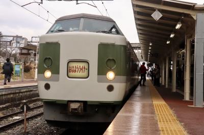 思わぬハプニングに遭遇! ~189系おはようライナーの旅~