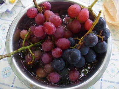 新大仏寺・常福寺・青蓮寺湖ぶどう狩り第2回2019