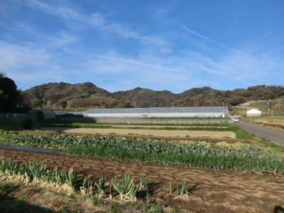 月例登山報告/三浦半島.武山三山 超プチ縦走